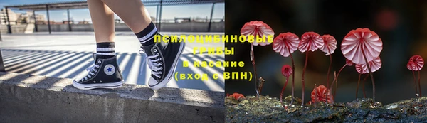 бошки Алексин