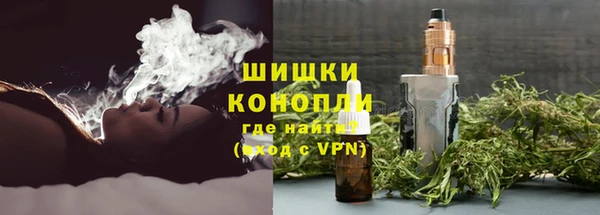 прущие грибы Арсеньев