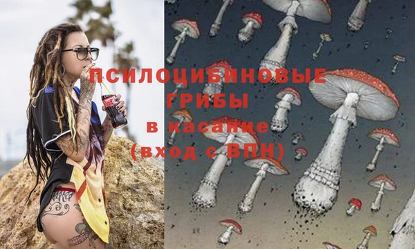 круглые Армянск