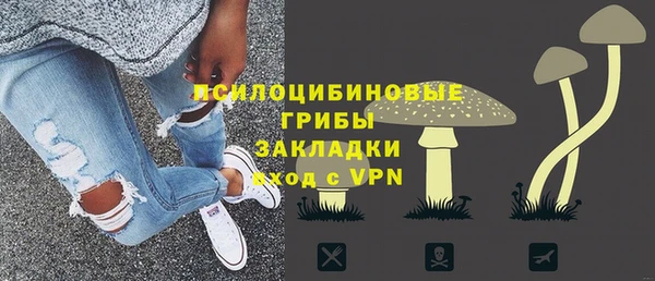 прущие грибы Арсеньев