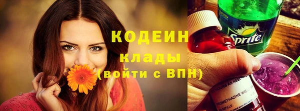 прущие грибы Арсеньев
