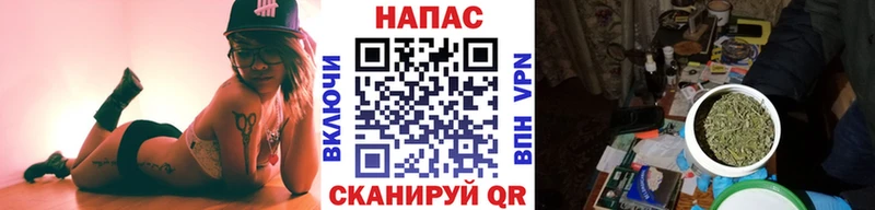 Шишки марихуана план darknet наркотические препараты Чаплыгин купить закладку